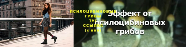 марихуана Анжеро-Судженск