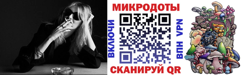 Купить  Гай  Псилоцибиновые грибы прущие грибы 